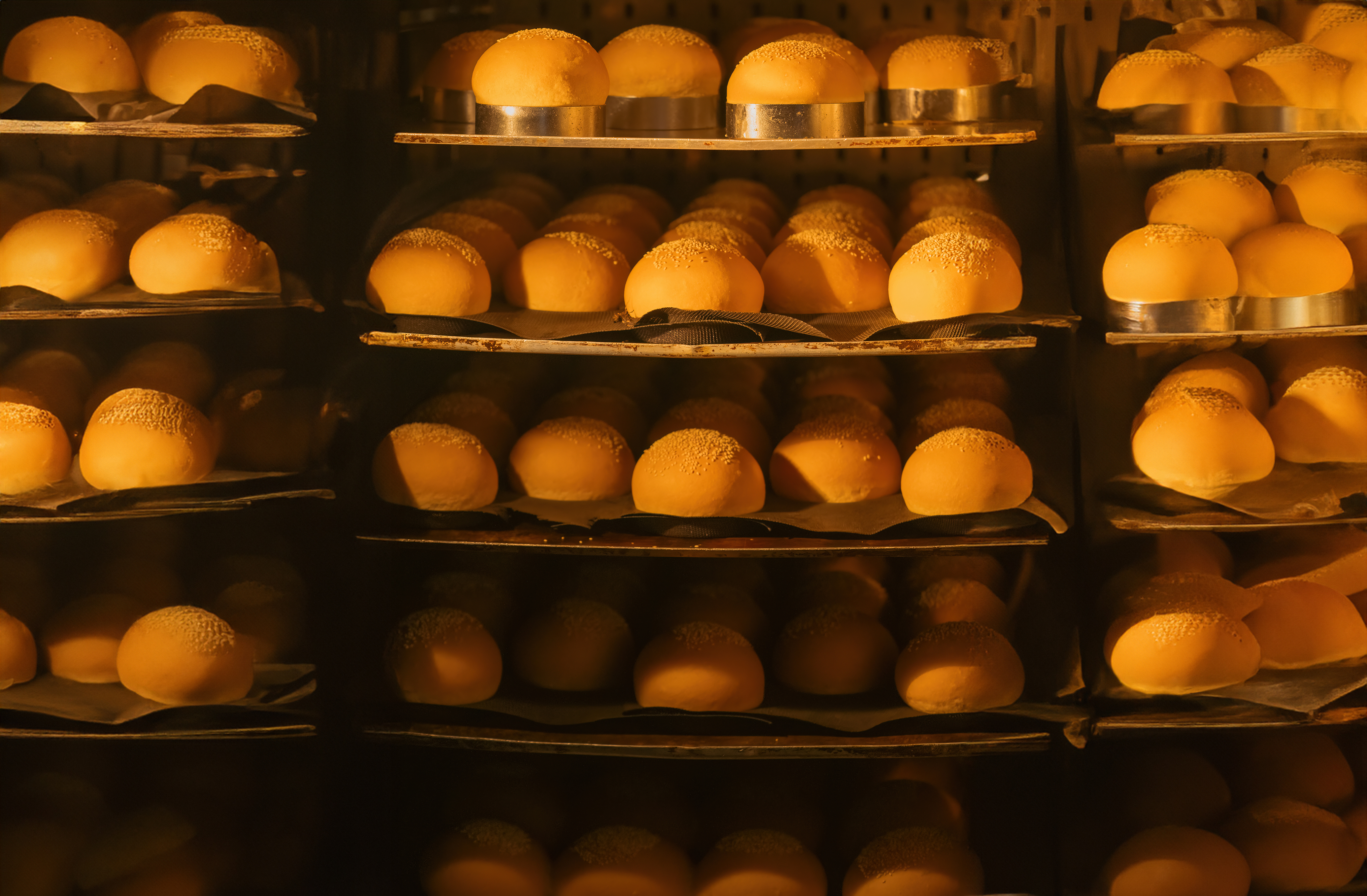 Burger Bun